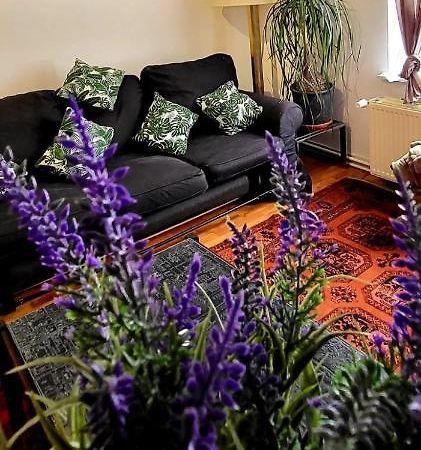 Bright Studio Close To Zaventem Airport Brüksel Dış mekan fotoğraf