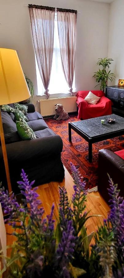 Bright Studio Close To Zaventem Airport Brüksel Dış mekan fotoğraf